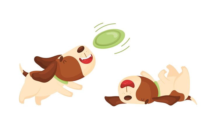 Vector el lindo y gracioso perro beagle durmiendo y caminando lindo y adorable animal de compañía jugando y corriendo ilustración vectorial de dibujos animados