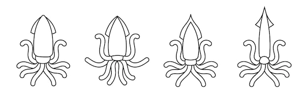 lindo icono de calamar contorno simple mariscos criatura marina