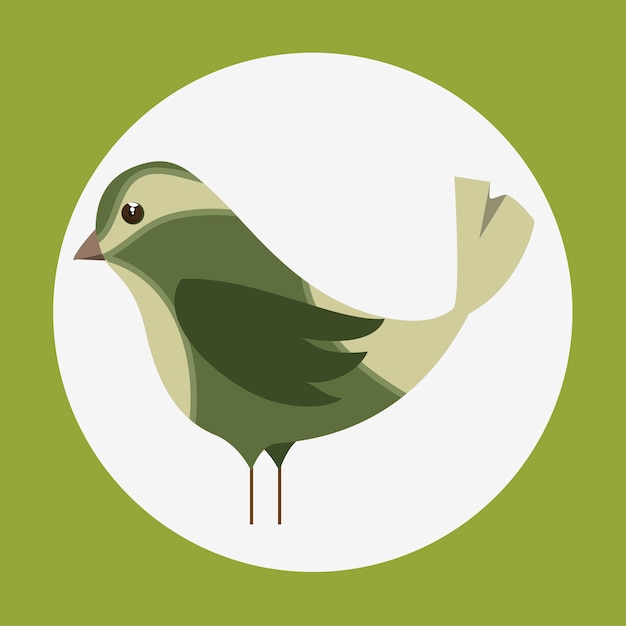 lindo icono de pájaro ornamental