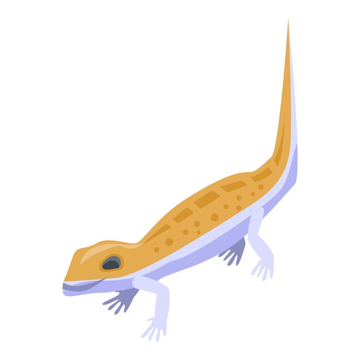 Vector lindo icono de reptil naranja isométrico de lindo icono de vector de reptil naranja para diseño web aislado sobre fondo blanco
