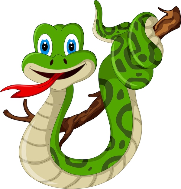 lindo insecto