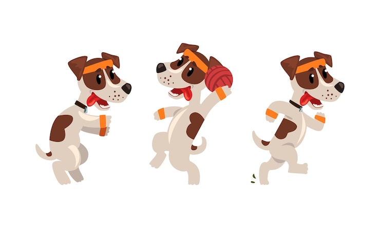 Vector el lindo jack russell terrier deportivo corre y juega con la pelota