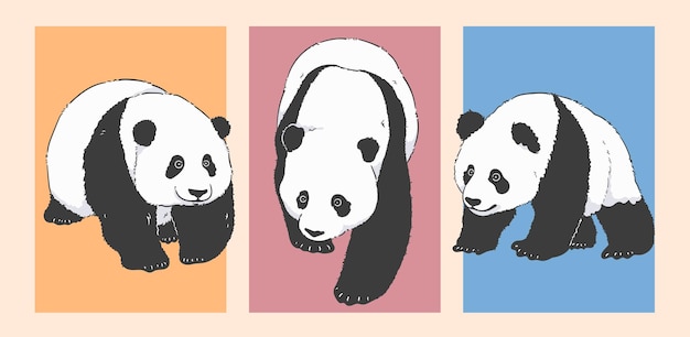 Vector lindo juego de ilustraciones de panda caminante de dibujos animados