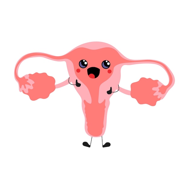 Vector lindo kawaii divertido mascota órgano personaje femenino sistema reproductivo útero cuello uterino ovarios