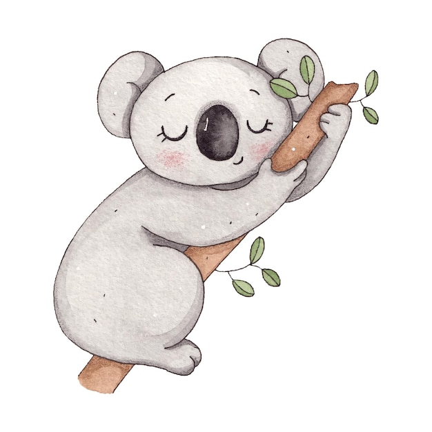 Lindo koala acuarela en una ilustración de rama