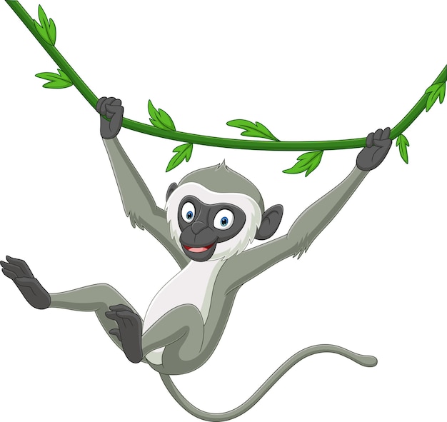 Vector lindo, langur, mono, caricatura, ahorcadura