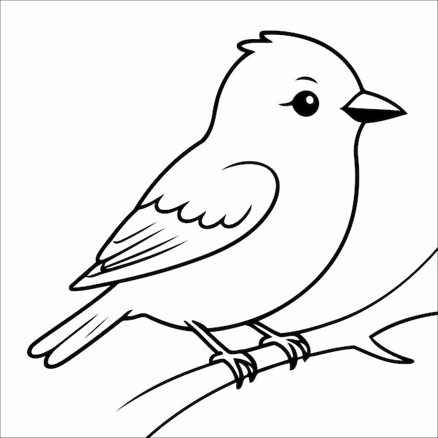Lindo libro para colorear de pájaros para niños