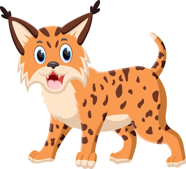 El lindo lince de dibujos animados aislado en blanco