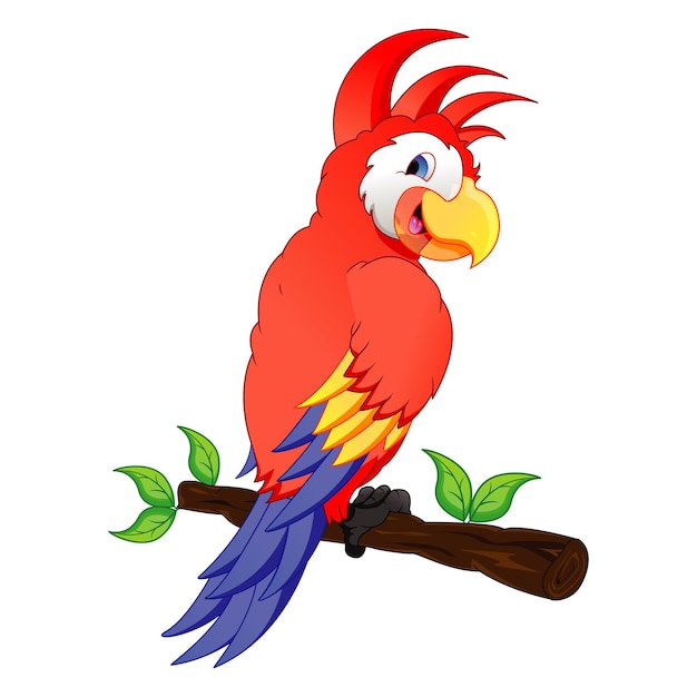 El lindo loro rojo en la rama