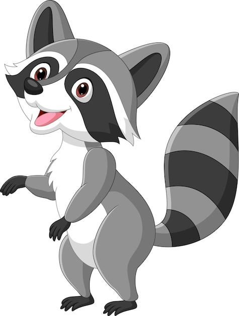 Lindo mapache de dibujos animados sobre fondo blanco