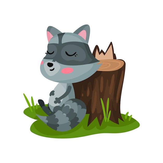 Vector lindo mapache sentado en la hierba verde cerca del tocón de un árbol y acariciando su vientre animal del bosque salvaje vector plano para niños libro o pegatina