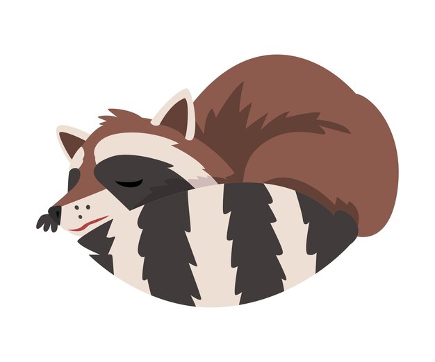 Lindo mapaches durmiendo acurrucado adorable salvaje peludo bosque animal personaje de dibujos animados ilustración vectorial