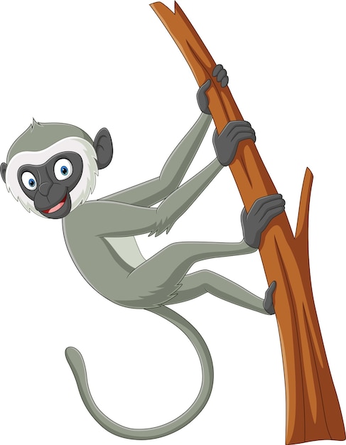 Vector lindo mono langur de dibujos animados en la rama de un árbol