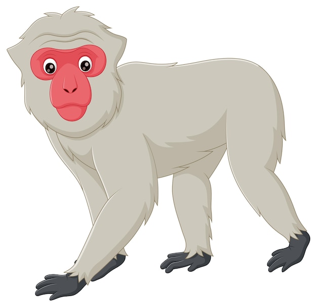 Vector lindo mono macaco de dibujos animados aislado sobre fondo blanco ilustración vectorial