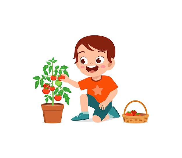 Lindo niño cosecha tomate en el jardín
