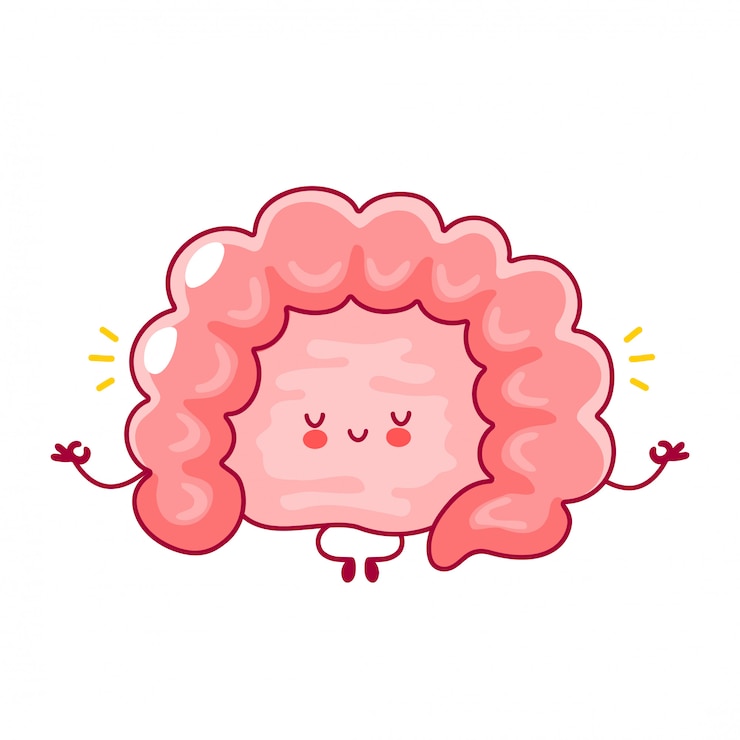 Vector lindo órgano del intestino humano divertido feliz meditar en pose de yoga.