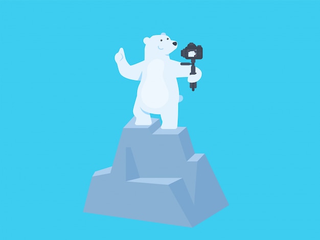 Vector lindo oso polar selfie y vloging en la cima de la ilustración del concepto de colina