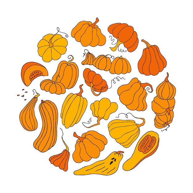 Vector lindo otoño vector ilustración dibujado a mano calabazas