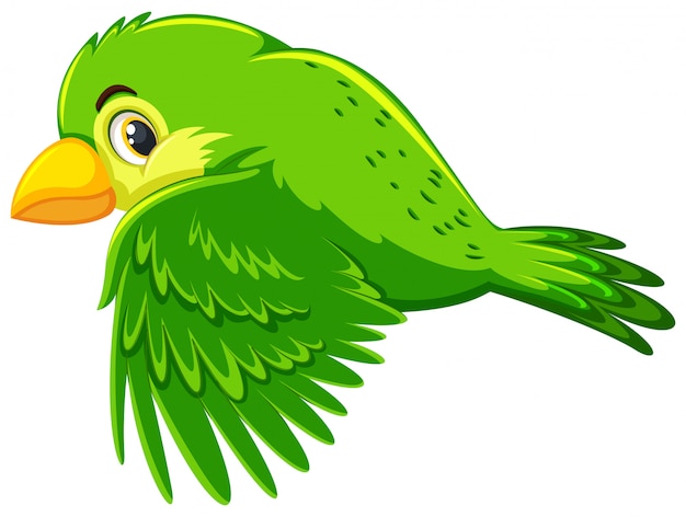 Lindo pájaro verde volando