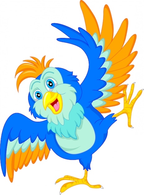 lindo pájaro