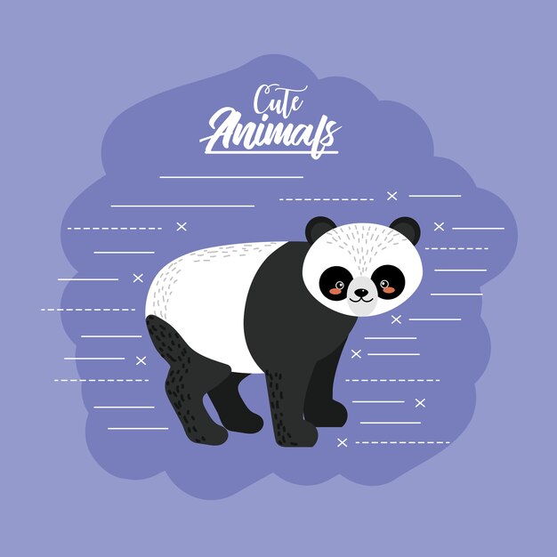 Lindo panda animal para la vida silvestre natural