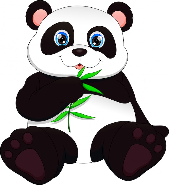 Lindo panda bebe gracioso