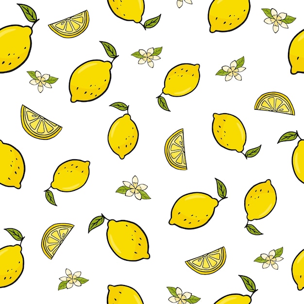 Lindo patrón sin costuras con rodajas de limón y limón en estilo doodleVector EPS10 aislado en blanco