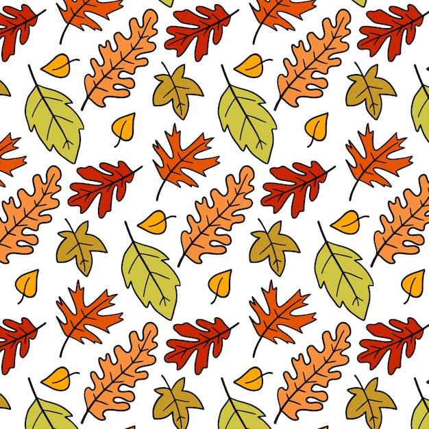 Lindo patrón de hojas de otoño