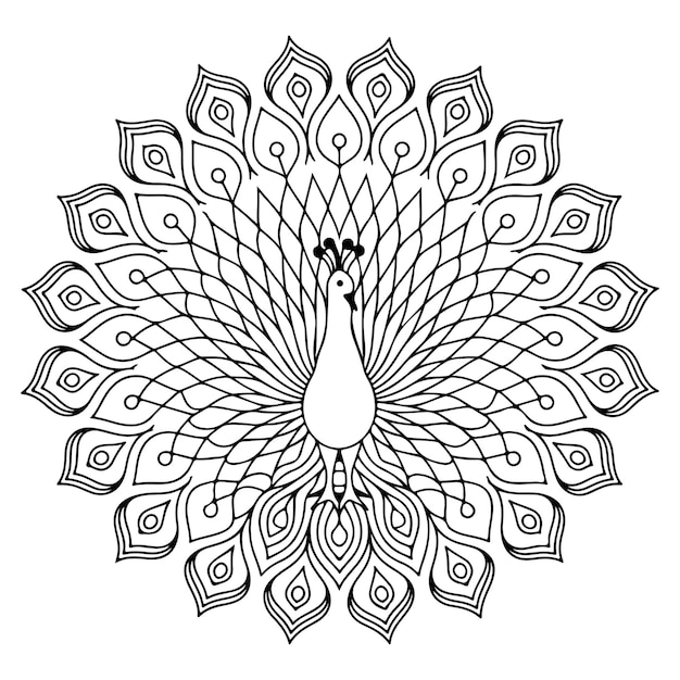 Un lindo pavo real dibujado a mano para un libro de colorear para adultos