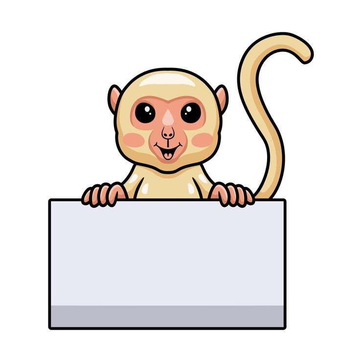 Vector lindo pequeño mono albino de dibujos animados con signo en blanco