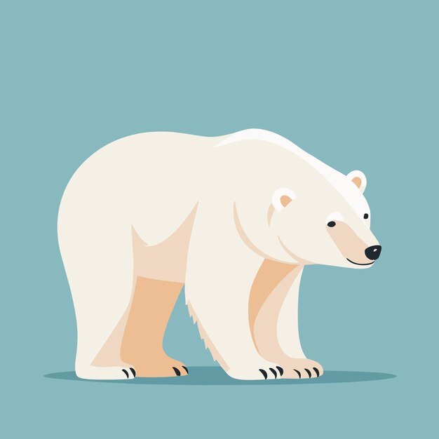 Vector lindo pequeño oso polar diseño vectorial de ilustraciones de dibujos animados