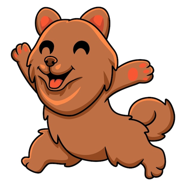 Lindo pequeño perro pomeranian dibujos animados corriendo