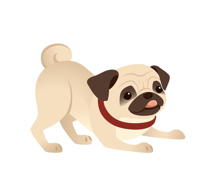 Vector lindo pequeño perro pug amigable dibujos animados animal doméstico diseño plano vector ilustración aislado sobre fondo blanco