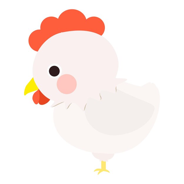 Vector lindo pequeño pollo blanco de cuerpo entero de pie y mirando hacia abajo cara lateral aislado sobre fondo blanco.