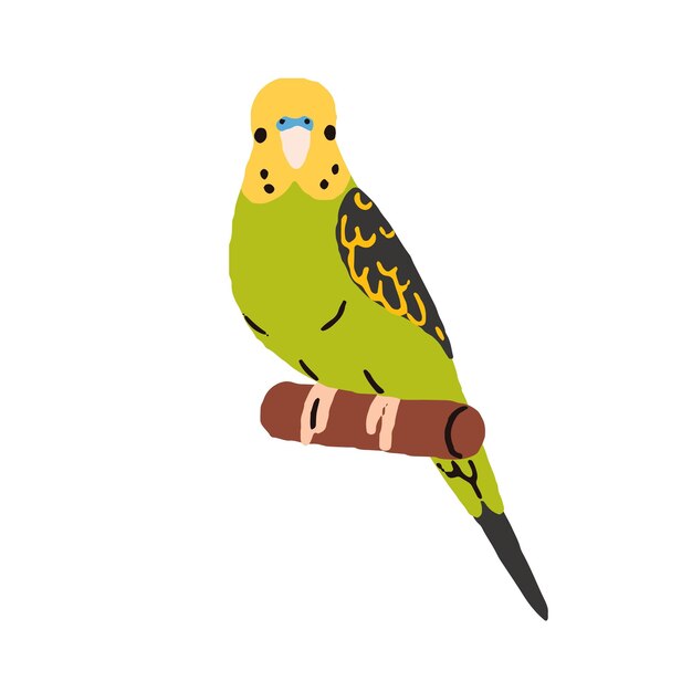 Lindo periquito periquito exótico periquito tropical sentado en la percha pequeño pájaro de la selva divertido y adorable periquito de concha de plumas verdes en la rama Ilustración vectorial plana aislada en fondo blanco