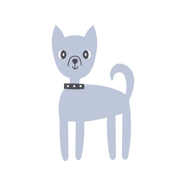 Un lindo perro chihuahua con collar
