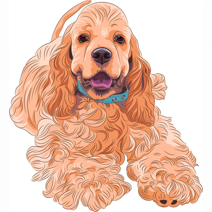 Vector lindo perro deportivo raza american cocker spaniel
