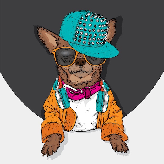 Lindo perro con gorra, auriculares y gafas.