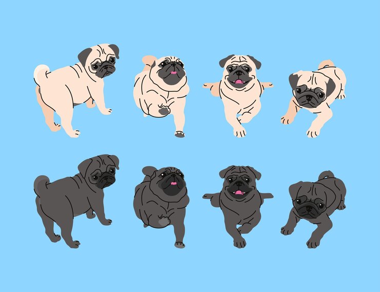 Vector lindo perro pug en diferentes movimientos ilustración vectorial