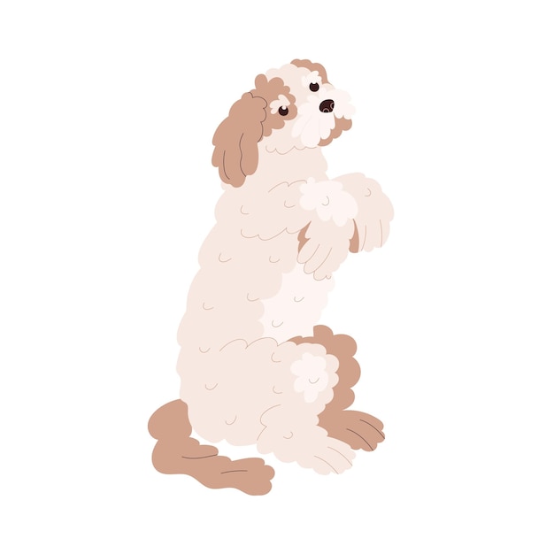 Vector lindo perro de raza goldendoodle. labradoodle leal entrenado sentado en las patas traseras. animal canino obediente durante el comando de servicio. cachorro ondulado rizado. ilustración de vector plano aislado sobre fondo blanco.