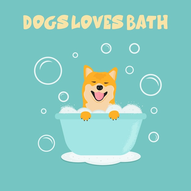 Lindo perro shiba inu en el baño con burbujas Logotipo de la tienda de aseo