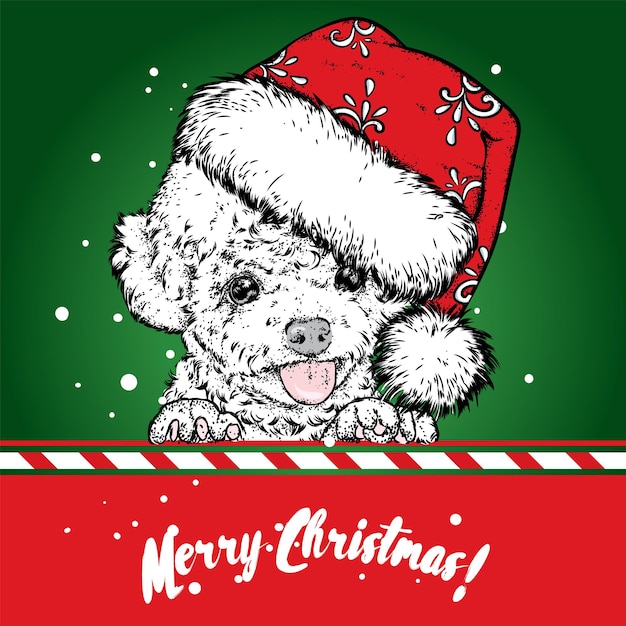 Lindo perro con un sombrero de santa