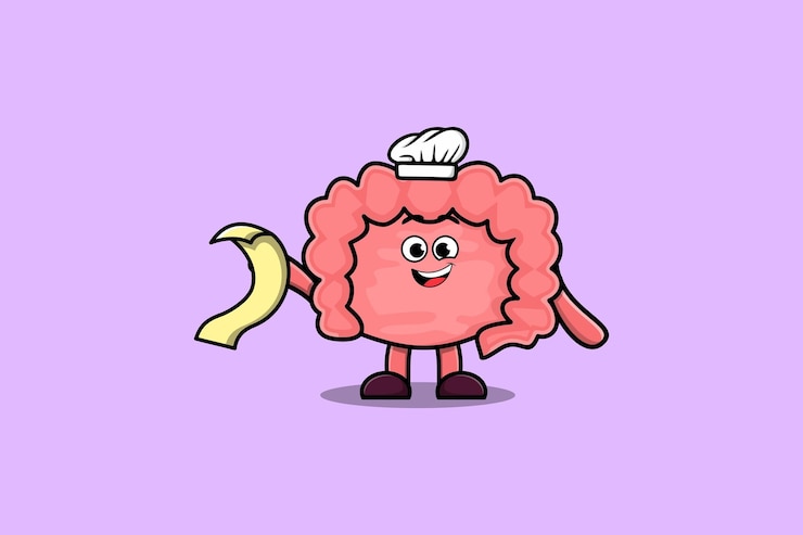 Vector lindo personaje de chef de intestino de dibujos animados con menú en la mano ilustración de diseño de estilo lindo