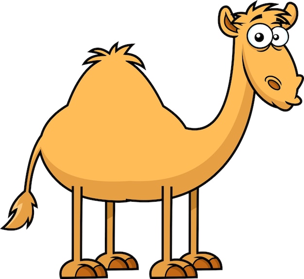 Vector lindo personaje de dibujos animados de camellos. ilustración dibujada a mano vectorial aislada sobre fondo transparente