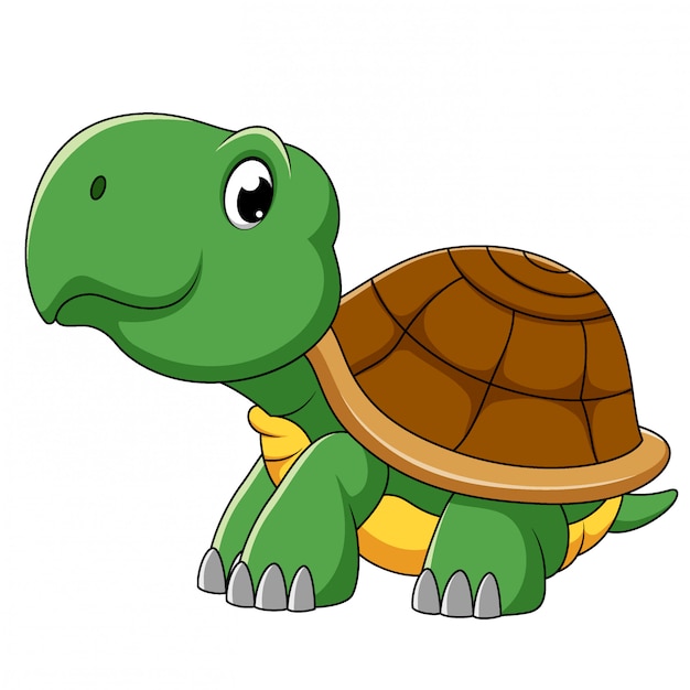 Vector lindo personaje de dibujos animados de tortuga de ilustración