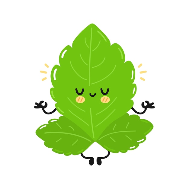 Lindo personaje divertido de hojas de stevia. Mano de vector dibujado icono de ilustración de personaje de kawaii de dibujos animados plana simple. Aislado sobre fondo blanco. Concepto de personaje de dibujos animados de hojas de azúcar de stevia
