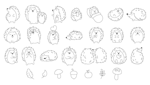 El lindo personaje de erizo página para colorear animales felices del bosque dibujo vectorial