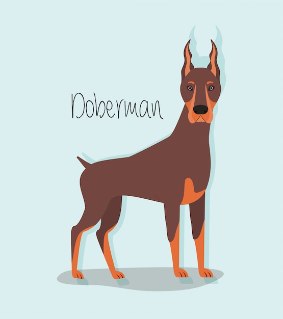 Lindo personaje de mascota de perro doberman