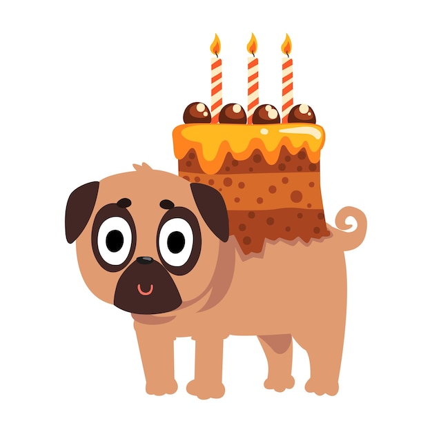 Lindo personaje de perro pug divertido con un pastel festivo con velas en su espalda vector ilustración aislada sobre fondo blanco.