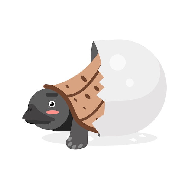 Lindo personaje de tortuga recién nacida, reptil divertido en vector de dibujos animados de huevo ilustración sobre un fondo blanco
